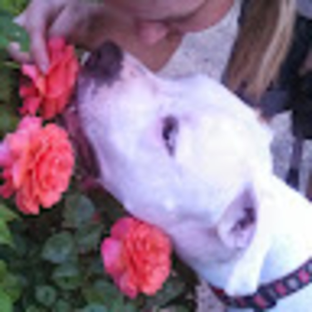 Meet your Posher, Lily